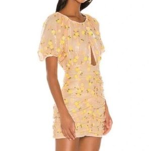 For Love and Lemons dress